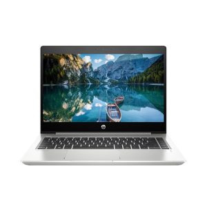 HP ProBook 445R G6 (9VC64PA)