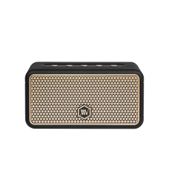 Loa Bluetooth Alpha Works AW-88 - Ảnh 2