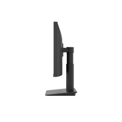 Màn Hình LG 25MS550-B (24.5 inch - IPS - FHD - 100Hz - 5ms - Speaker) - Ảnh 4