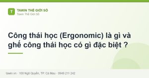 Công thái học (Ergonomic) là gì và ghế công thái học có gì đặc biệt ? - hướng dẫn và tư vấn từ Tawin Cà Mau