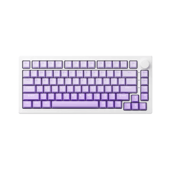 Bàn phím AKKO 5075 V3 White&Purple Gradient chính hãng tại Tawin Cà Mau