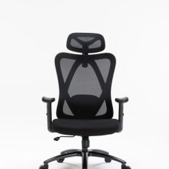 Ghế công thái học WARRIOR Hero series WEC501 Plus Black