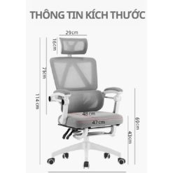 Ghế công thái học CTH899 các màu