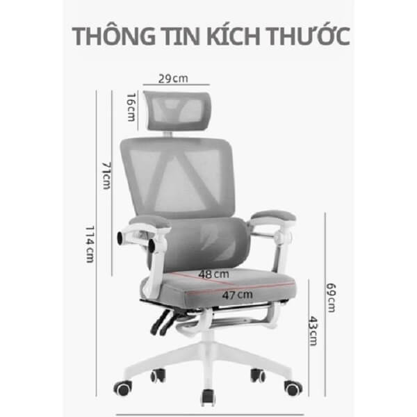 Ghế công thái học CTH899 các màu