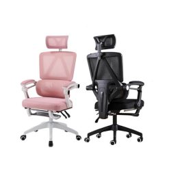 Ghế công thái học CTH899 tính năng ngả lưng
